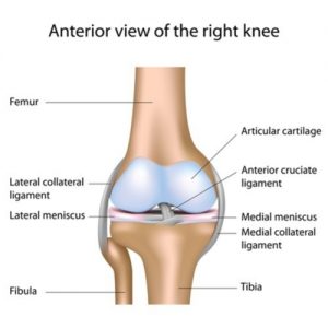 Dealing with a Torn Ligament in the Knee After An Accident